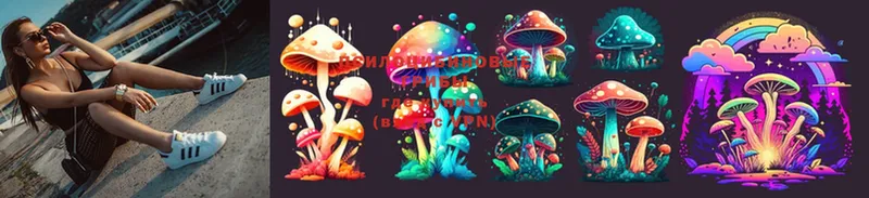 blacksprut ТОР  где можно купить наркотик  Калязин  Галлюциногенные грибы Cubensis 